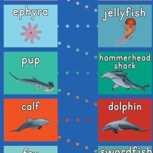 Animals that live in the ocean hop mat