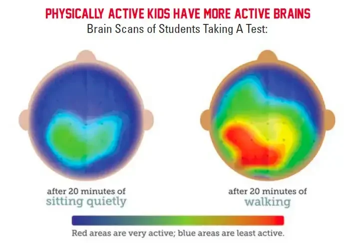 active brain scan